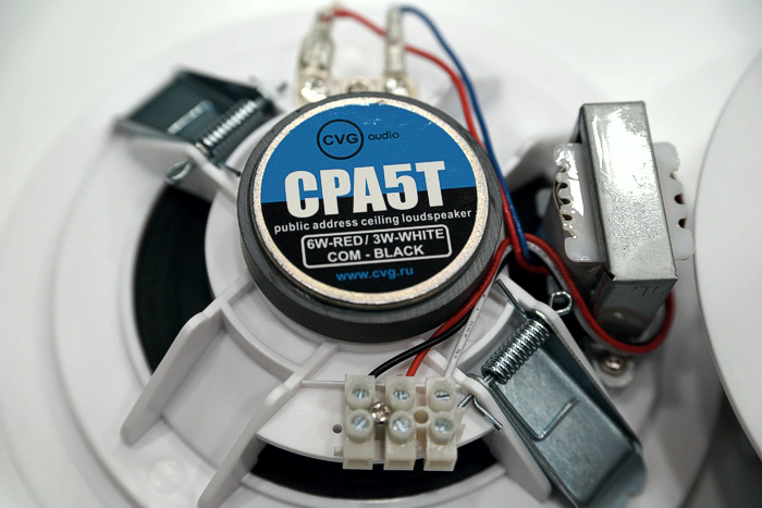 Широкополосные акустические системы CVGaudio CPA5T